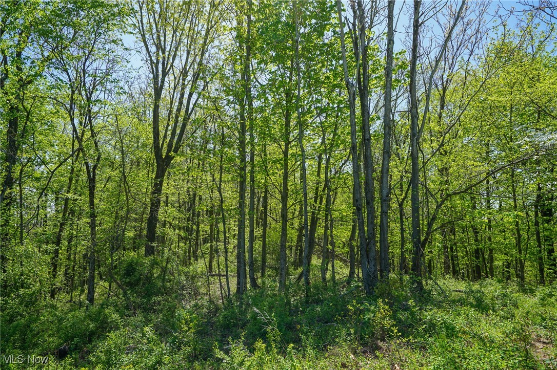 Sealover Hollow Rd, Philo, Ohio image 49
