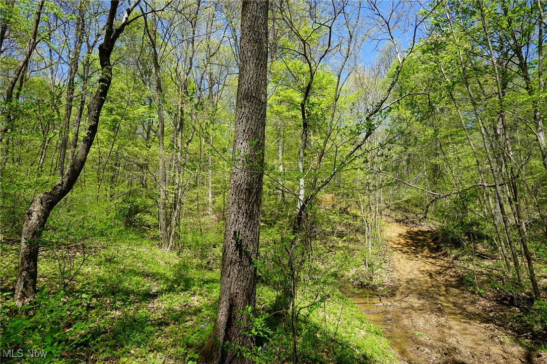 Sealover Hollow Rd, Philo, Ohio image 36