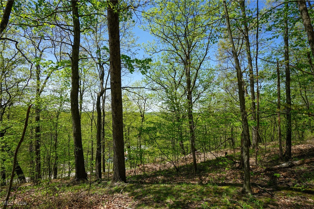 Sealover Hollow Rd, Philo, Ohio image 15