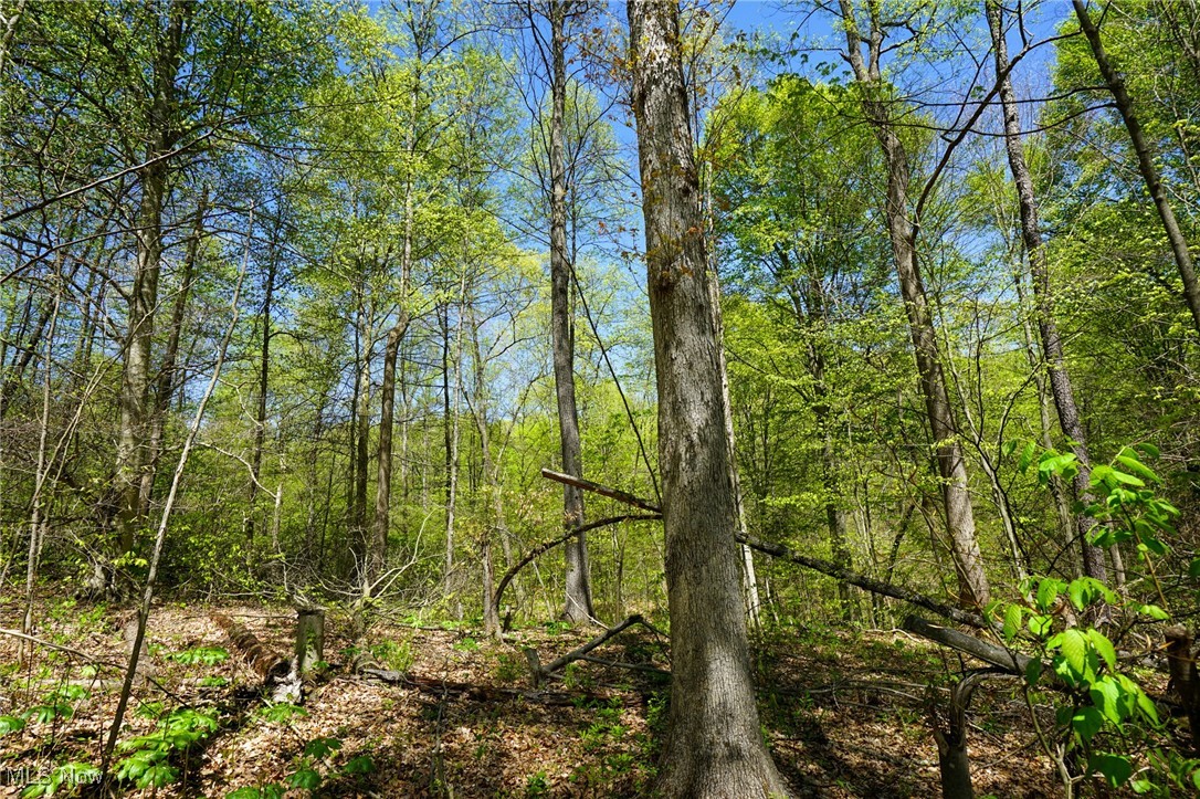 Sealover Hollow Rd, Philo, Ohio image 31