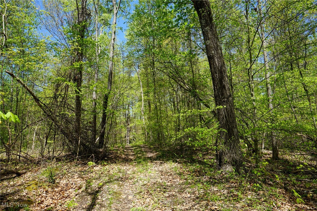 Sealover Hollow Rd, Philo, Ohio image 45