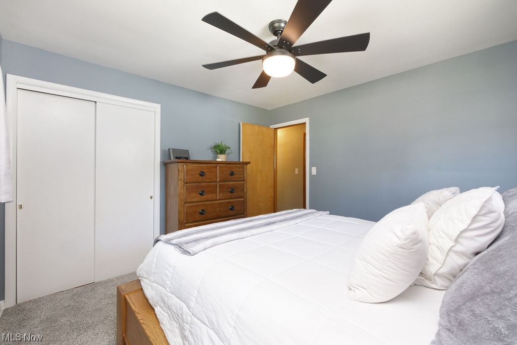 Springfield Center - Residential