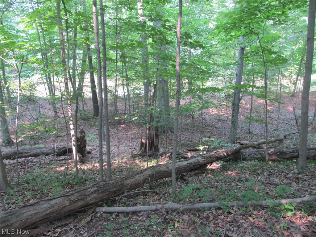 Carlisle - Residential