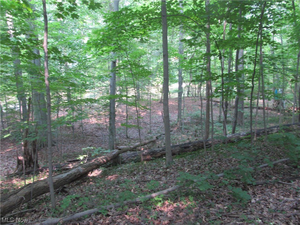 Carlisle - Residential