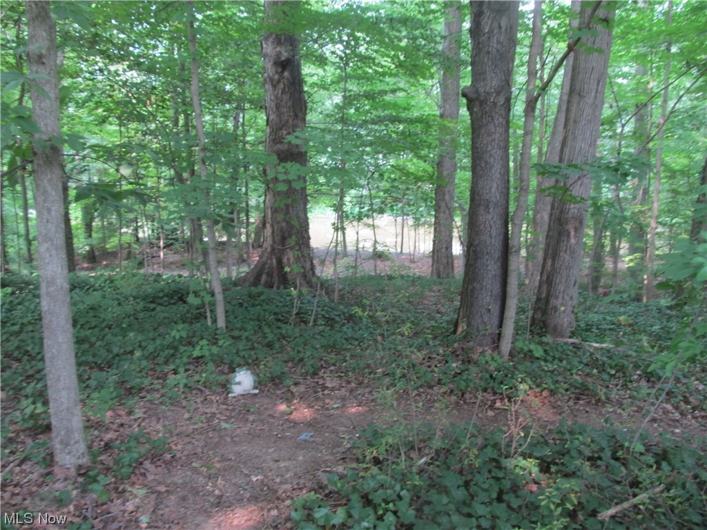 Carlisle - Residential