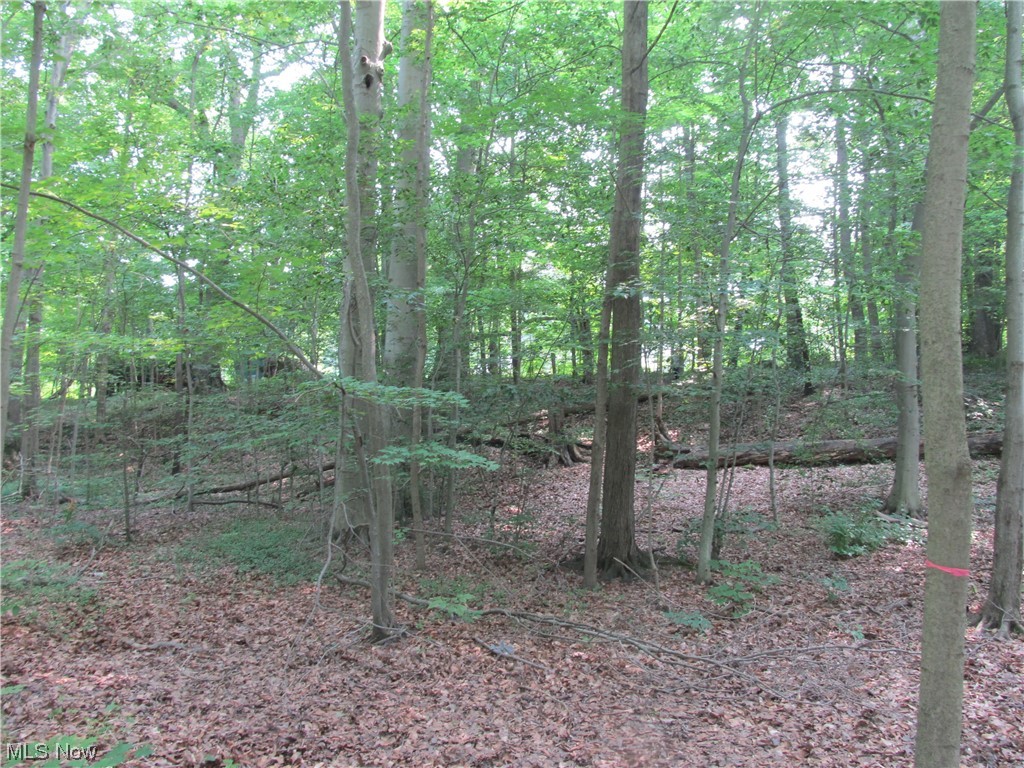 Carlisle - Residential