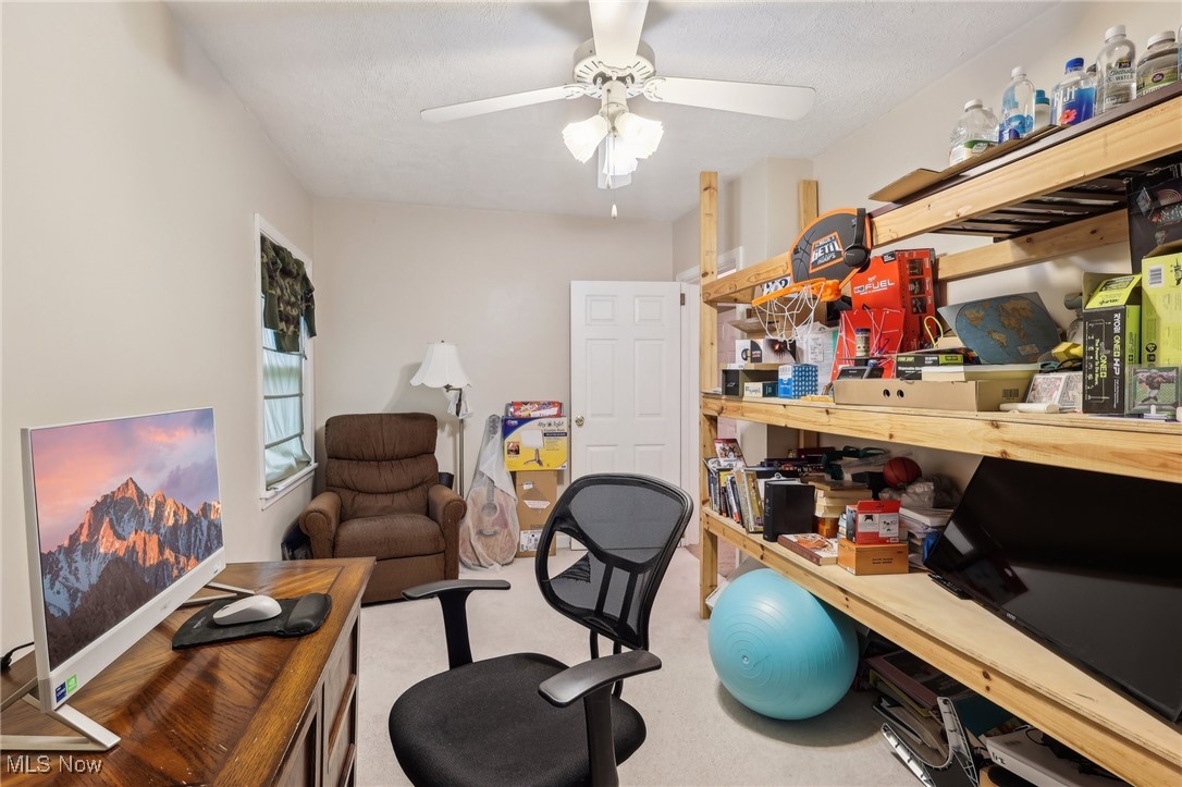 153 N Doan Avenue, Painesville, Ohio image 17