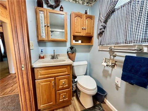 Tiny photo for 295 E Martin Street, East Palestine, OH 44413 (MLS # 5156497)