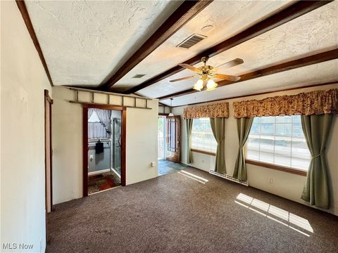 Tiny photo for 295 E Martin Street, East Palestine, OH 44413 (MLS # 5156497)