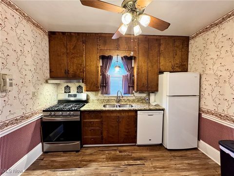 Tiny photo for 295 E Martin Street, East Palestine, OH 44413 (MLS # 5156497)