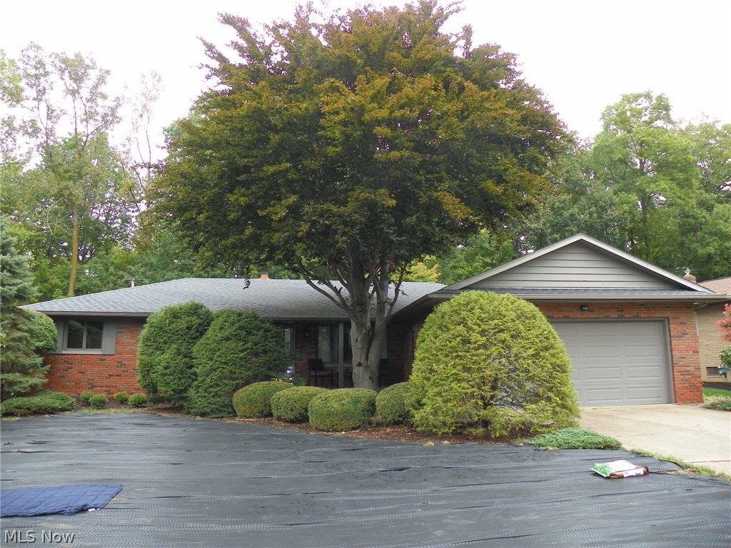 Sprawling Brick Ranch on a beautiful wooded lot * 3 Bedrooms, 2-1/2 Baths * Spacious Living Room with a Formal Dining Room * Eat in Kitchen with ceramic tile, tons of cabinetry and counter tops with appliances that remain * Cozy Family Room with a WBFP (converted to gas) and a slider to the large deck overlooking a private wooded lot * Tons of mature trees * Spacious Master Bedroom with a private Bathroom * Two additional nice sized Bedrooms and a Full Bath off the hallway * Mudroom area off Kitchen/hall to garage as well as a 1/2 Bath and hook ups for laundry facilities * Newer Garage Door * Full, dry and clean Basement with tons of storage * Hardwood floors under the carpet in the Living Room, Bedrooms and Hallway * This home is beautiful, clean and has been taken care of lovingly by it's original owners ! Must see !