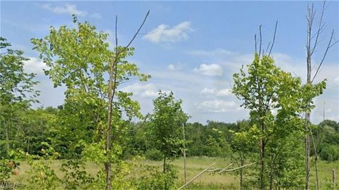 Vacant Land For Sale - 7687 Ravenna Road<br/> Hudson, OH 44236