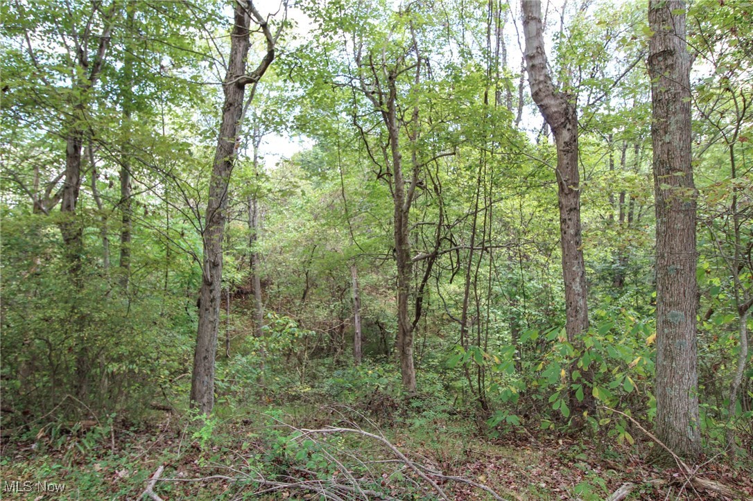 Tract 14 Happy Hollow, Waverly, West Virginia image 20