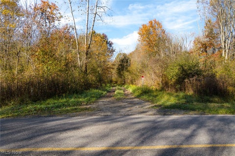 Tiny photo for Wayland Road, Deerfield, OH 44411 (MLS # 5257152)
