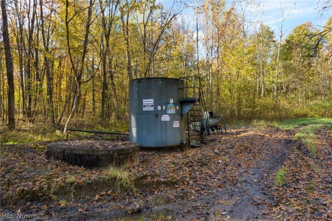Tiny photo for Wayland Road, Deerfield, OH 44411 (MLS # 5257152)