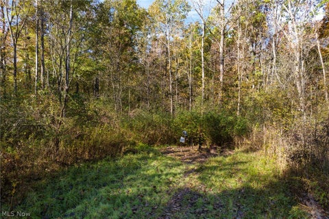 Tiny photo for Wayland Road, Deerfield, OH 44411 (MLS # 5257152)