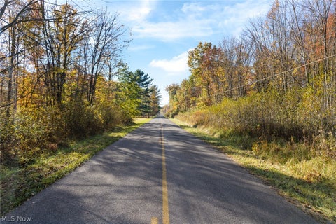 Tiny photo for Wayland Road, Deerfield, OH 44411 (MLS # 5257152)