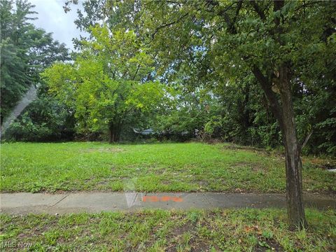 Vacant Land For Sale - 1344 E 93rd Street<br/> Cleveland, OH 44106