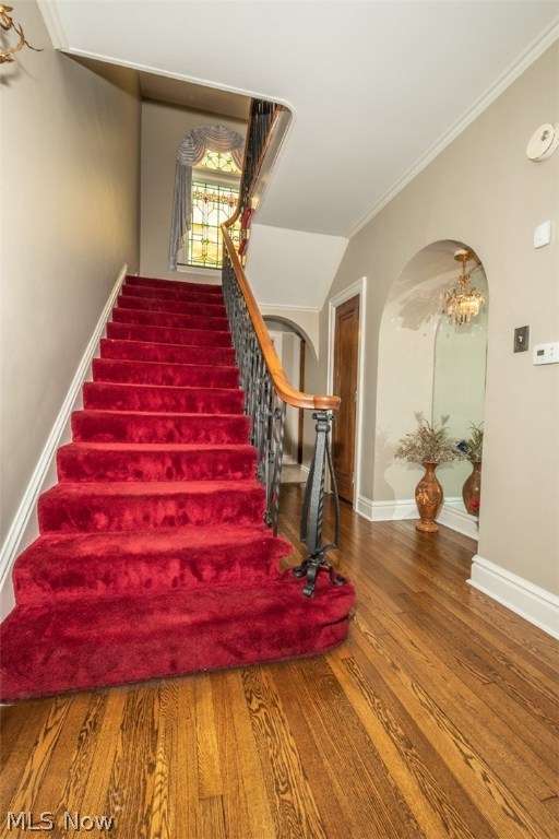 Kuchinka - Residential