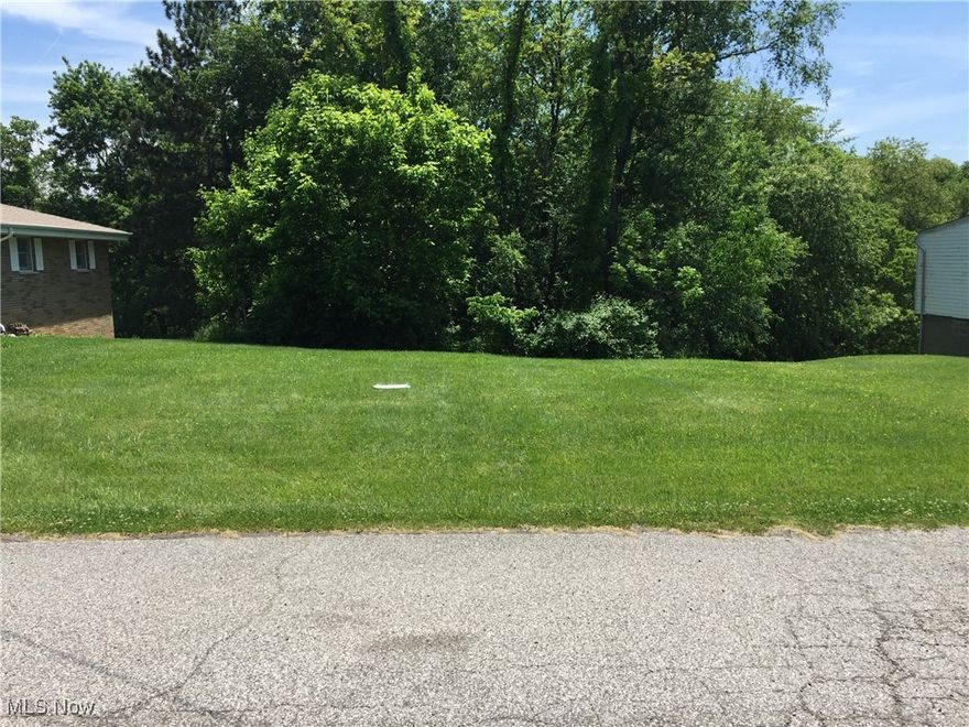 Looking to build the home of your dreams? Then you need to check out this lot. Nice building lot that is nearly half an acre in a great Shadyside neighborhood. Located on a cul-de-sac. Public water and sewage available at main (New Cut) road to tap into, per owner.