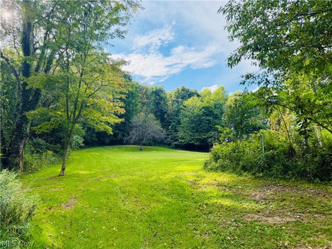 Tiny photo for 44373 Y And O Road, Wellsville, OH 43968 (MLS # 5239963)