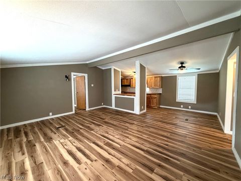 Tiny photo for 806 S Grant Boulevard, Minerva, OH 44657 (MLS # 5203163)