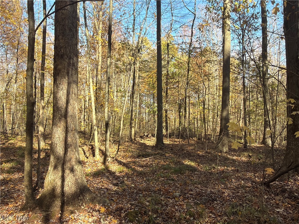 Township/Bristol - Residential