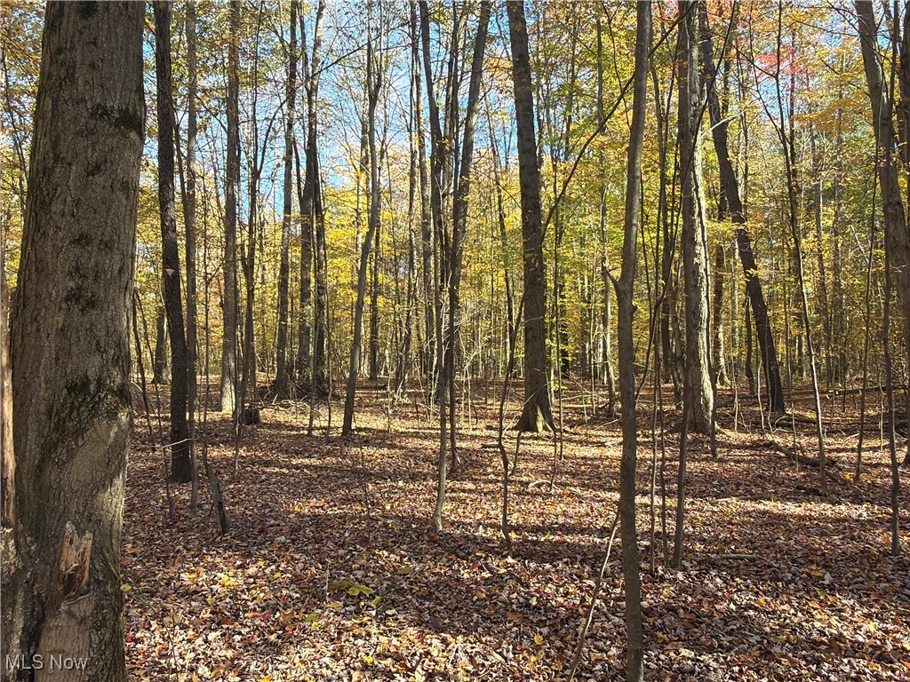 Township/Bristol - Residential