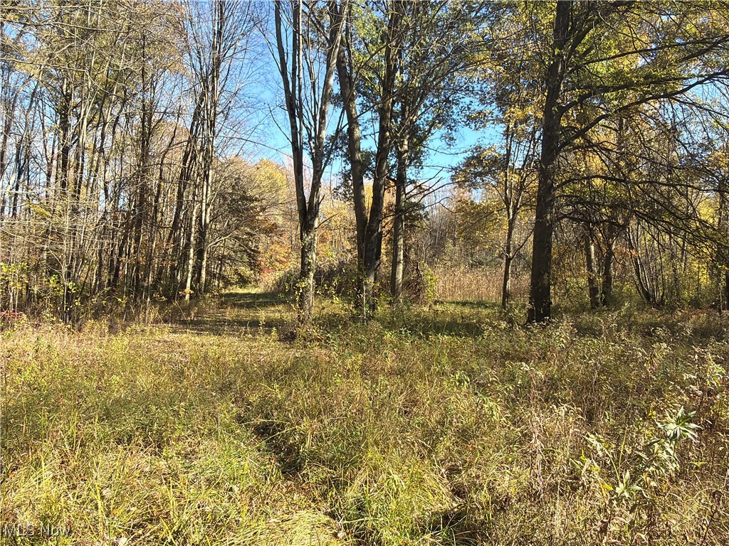 Township/Bristol - Residential