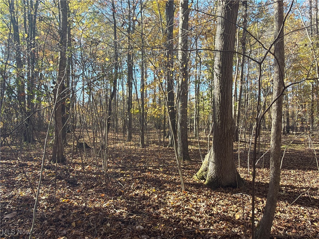 Township/Bristol - Residential