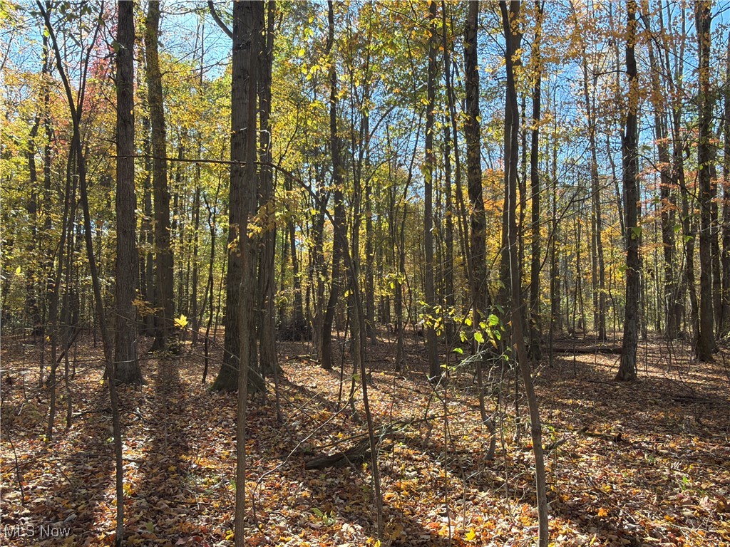 Township/Bristol - Residential