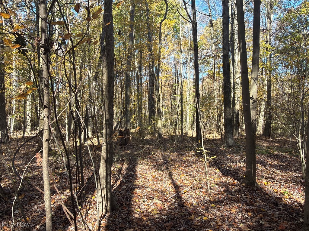 Township/Bristol - Residential