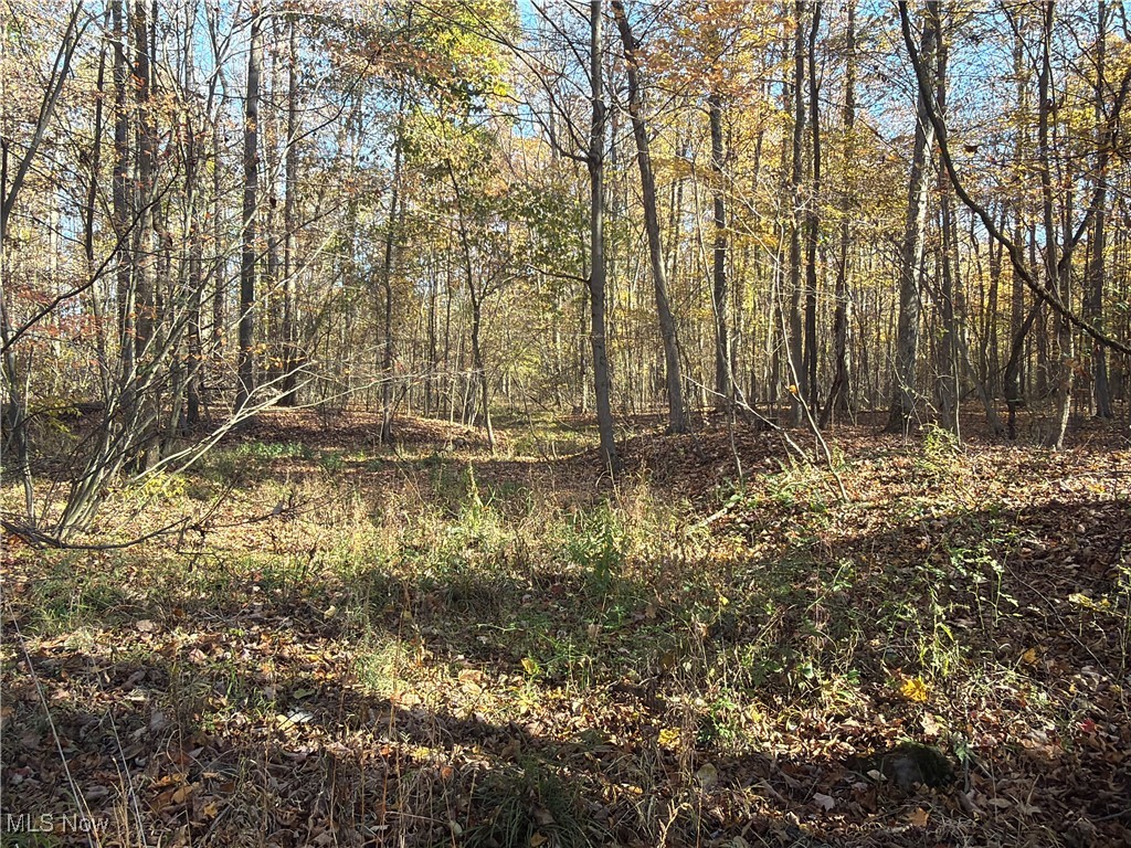 Township/Bristol - Residential