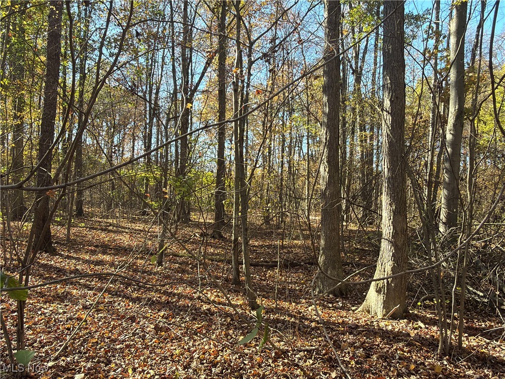 Township/Bristol - Residential