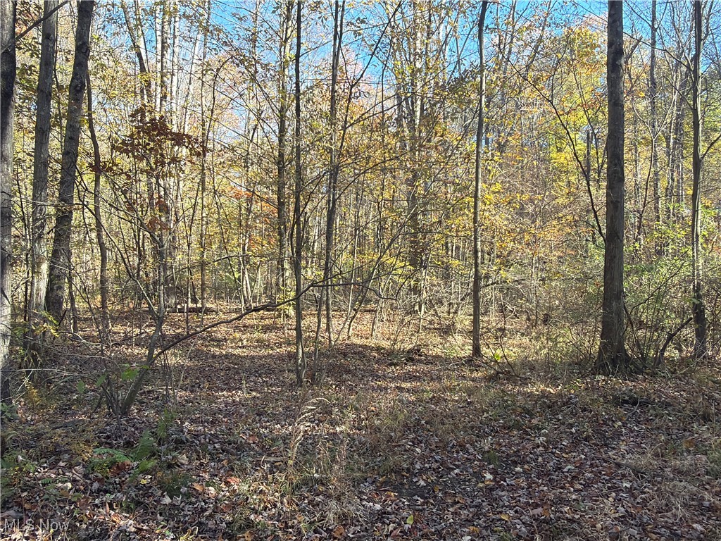 Township/Bristol - Residential