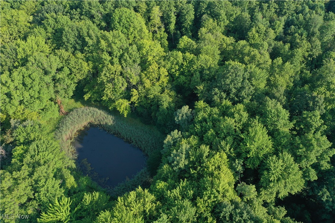 Township/Bristol - Residential