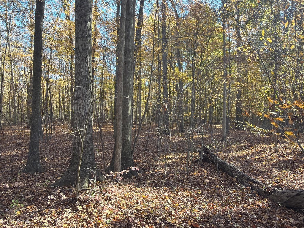 Township/Bristol - Residential