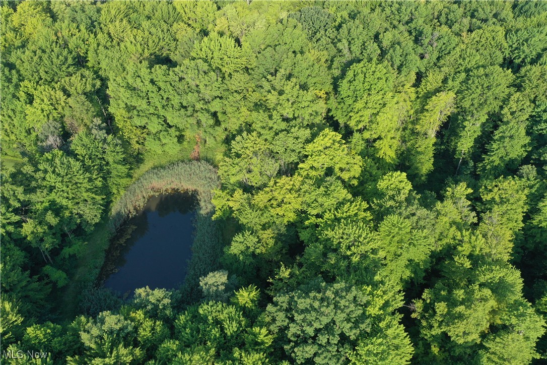 Township/Bristol - Residential