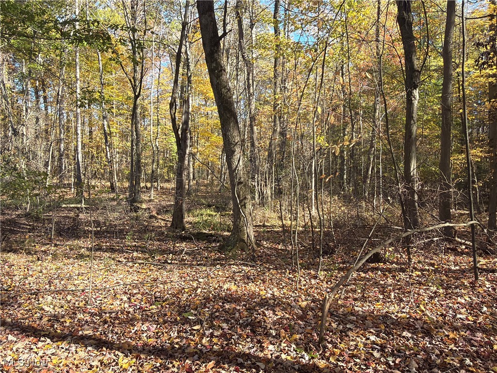 Township/Bristol - Residential