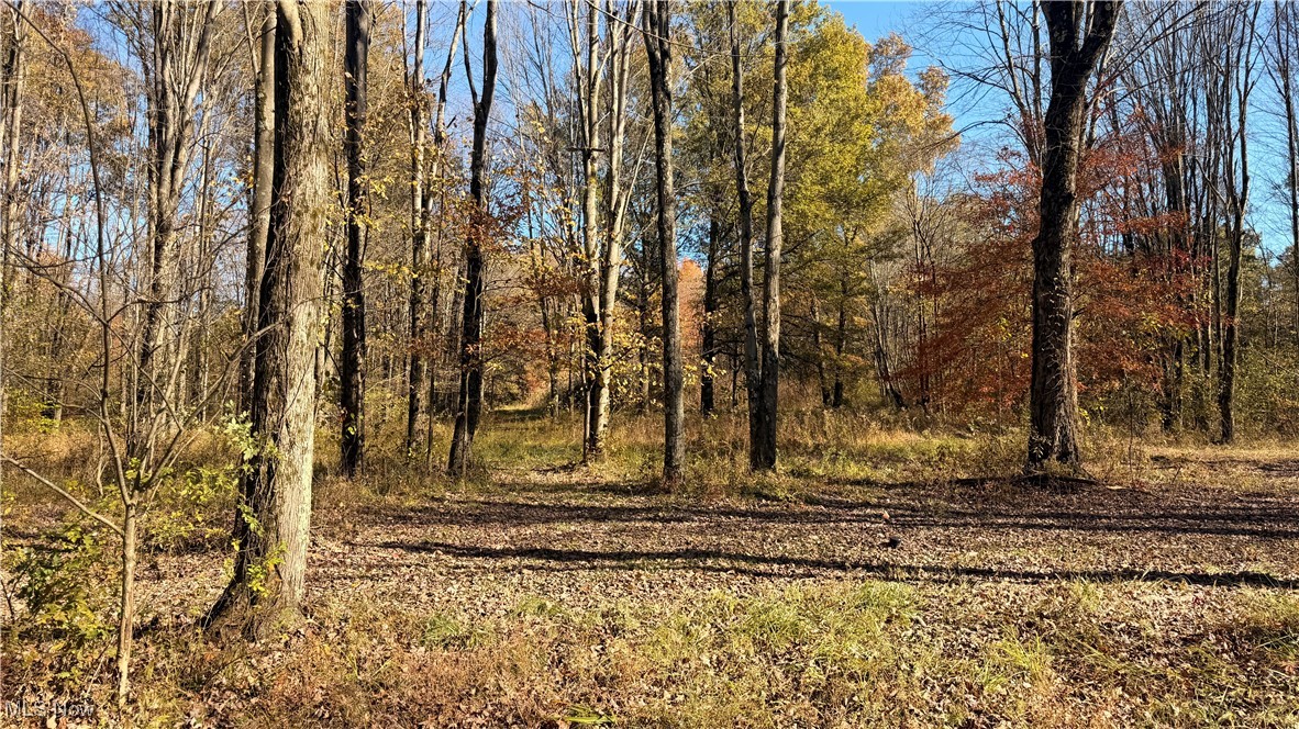 Township/Bristol - Residential