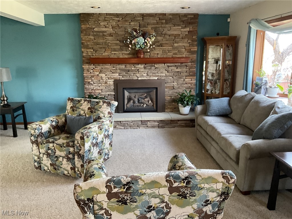 6809 S Camelot Drive, Mentor, Ohio image 5