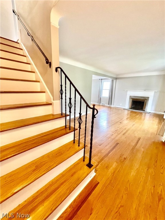 Mayfair - Residential