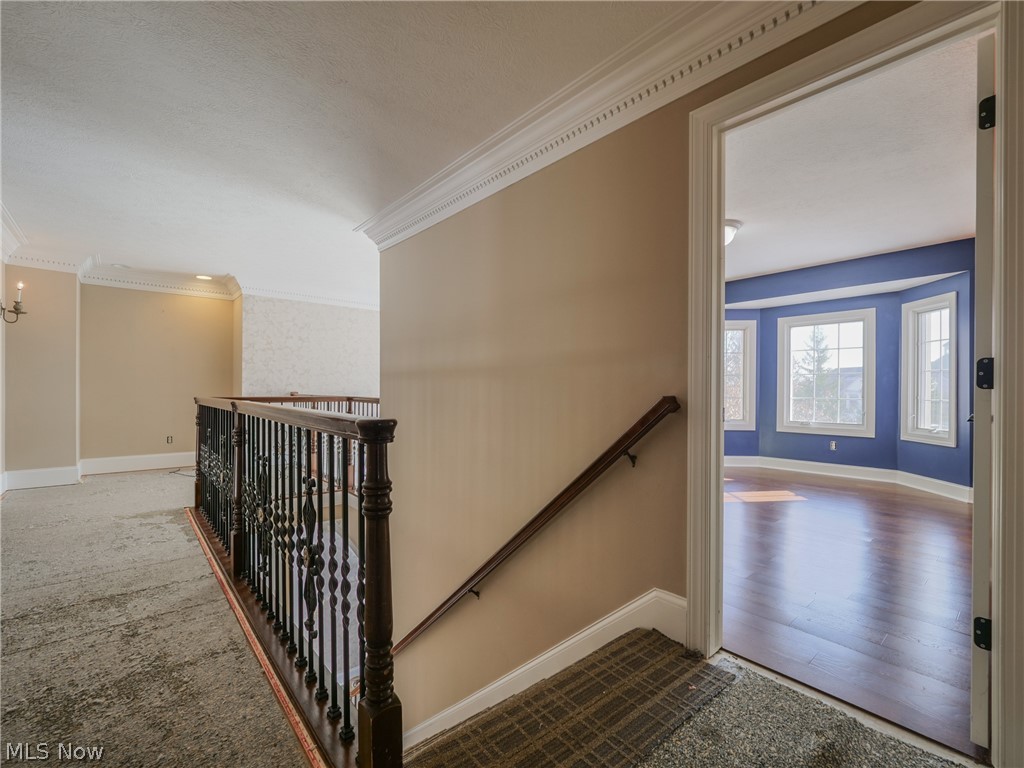 Signature of Solon - Residential