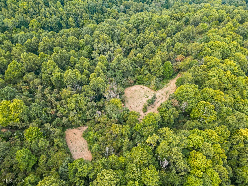 Sheepskin Ridge Road, Lower Salem, Ohio image 21