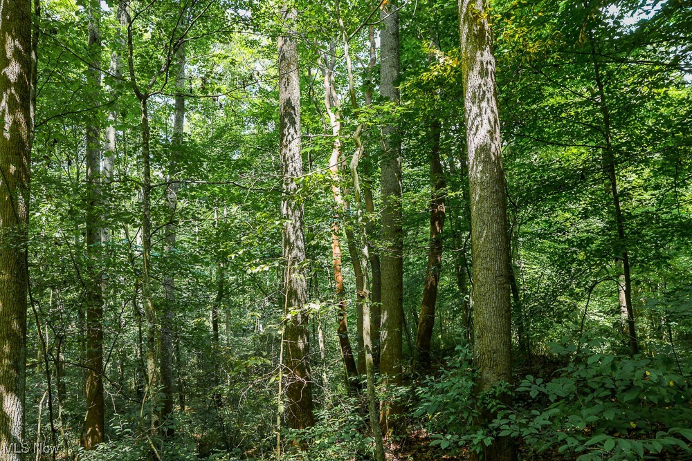 Sheepskin Ridge Road, Lower Salem, Ohio image 15