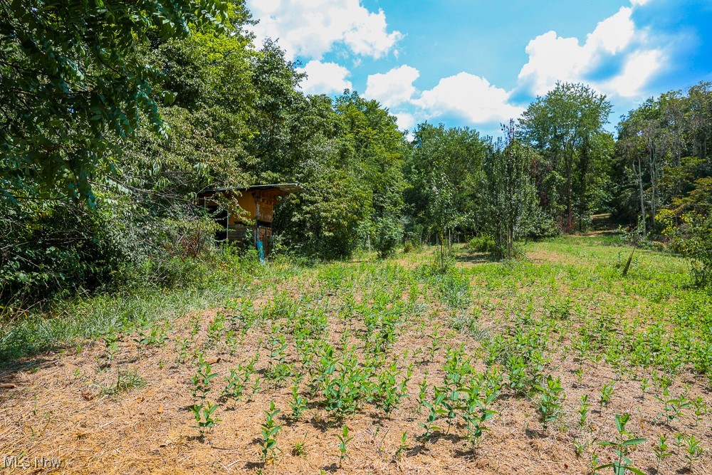 Sheepskin Ridge Road, Lower Salem, Ohio image 12