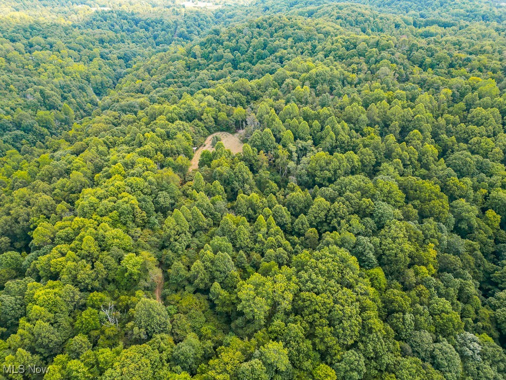 Sheepskin Ridge Road, Lower Salem, Ohio image 17