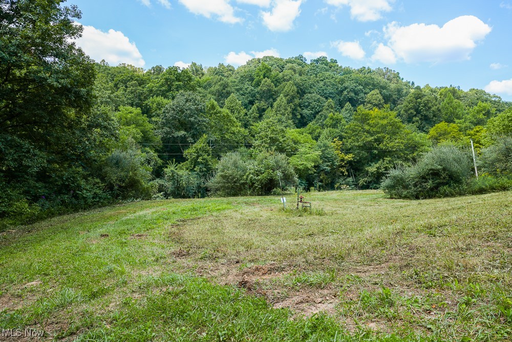 Sheepskin Ridge Road, Lower Salem, Ohio image 7