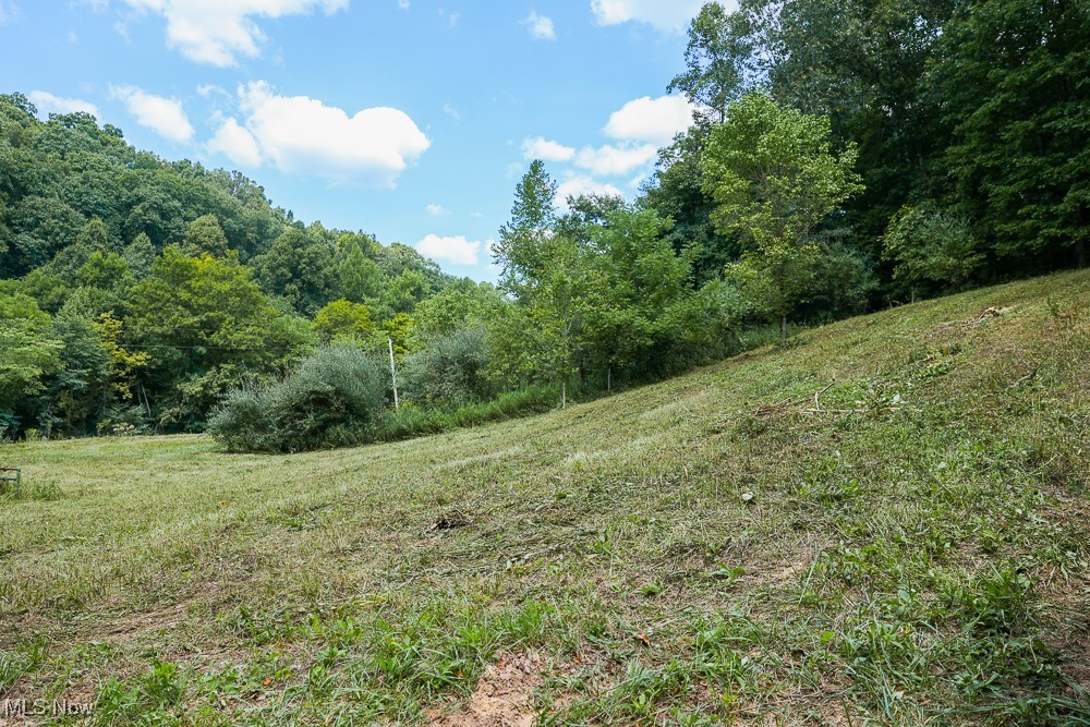 Sheepskin Ridge Road, Lower Salem, Ohio image 6