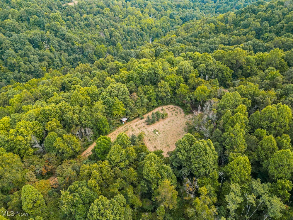 Sheepskin Ridge Road, Lower Salem, Ohio image 19